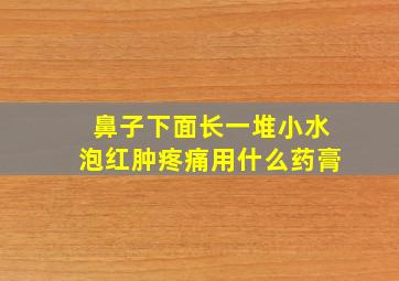 鼻子下面长一堆小水泡红肿疼痛用什么药膏