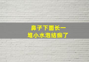 鼻子下面长一堆小水泡结痂了