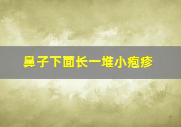 鼻子下面长一堆小疱疹