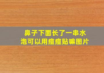 鼻子下面长了一串水泡可以用痘痘贴嘛图片