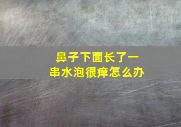 鼻子下面长了一串水泡很痒怎么办