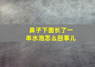 鼻子下面长了一串水泡怎么回事儿