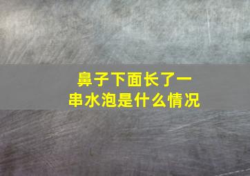 鼻子下面长了一串水泡是什么情况