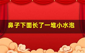 鼻子下面长了一堆小水泡