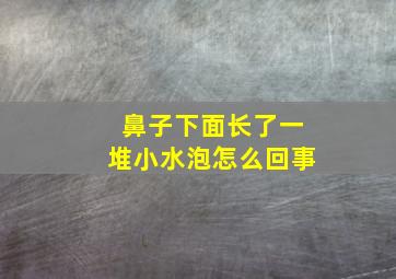 鼻子下面长了一堆小水泡怎么回事