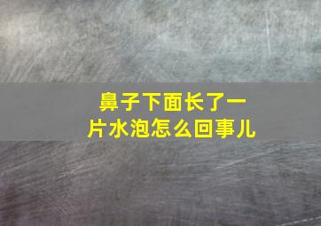 鼻子下面长了一片水泡怎么回事儿