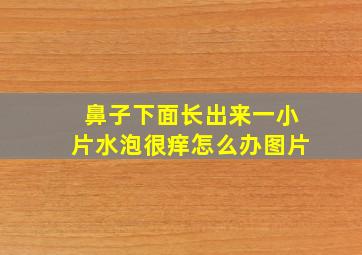 鼻子下面长出来一小片水泡很痒怎么办图片