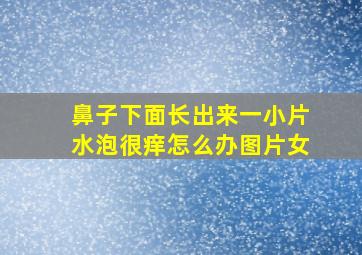 鼻子下面长出来一小片水泡很痒怎么办图片女