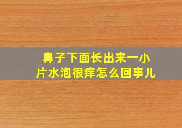 鼻子下面长出来一小片水泡很痒怎么回事儿