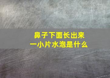 鼻子下面长出来一小片水泡是什么