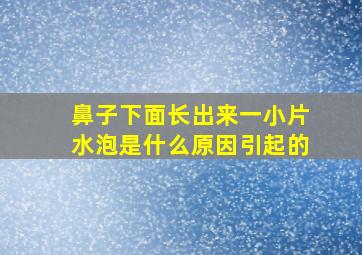 鼻子下面长出来一小片水泡是什么原因引起的