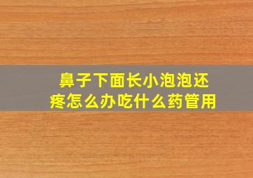 鼻子下面长小泡泡还疼怎么办吃什么药管用