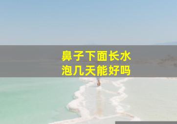 鼻子下面长水泡几天能好吗