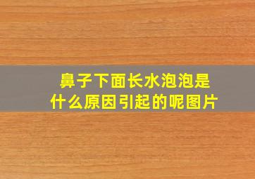 鼻子下面长水泡泡是什么原因引起的呢图片