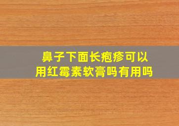 鼻子下面长疱疹可以用红霉素软膏吗有用吗