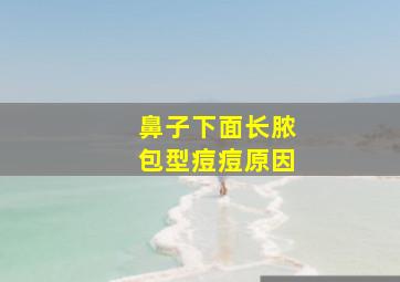 鼻子下面长脓包型痘痘原因