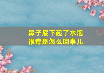 鼻子底下起了水泡很痒是怎么回事儿