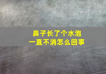 鼻子长了个水泡一直不消怎么回事