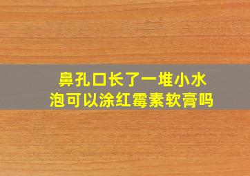 鼻孔口长了一堆小水泡可以涂红霉素软膏吗