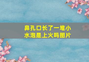 鼻孔口长了一堆小水泡是上火吗图片