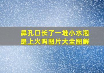 鼻孔口长了一堆小水泡是上火吗图片大全图解