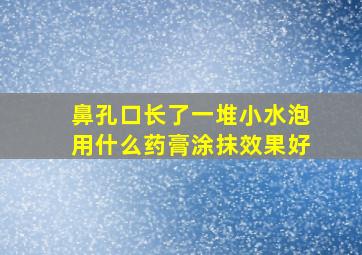 鼻孔口长了一堆小水泡用什么药膏涂抹效果好