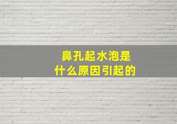 鼻孔起水泡是什么原因引起的