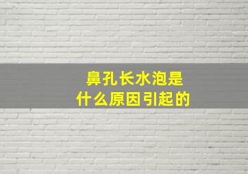 鼻孔长水泡是什么原因引起的