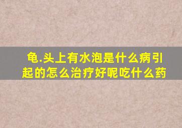 龟.头上有水泡是什么病引起的怎么治疗好呢吃什么药