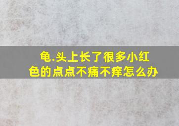 龟.头上长了很多小红色的点点不痛不痒怎么办